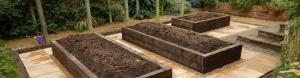 organic garden design derby